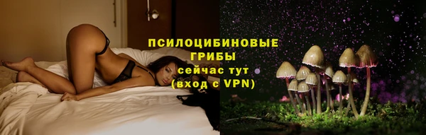 молекула духа Белоозёрский