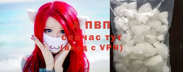 эйфоретик Белокуриха
