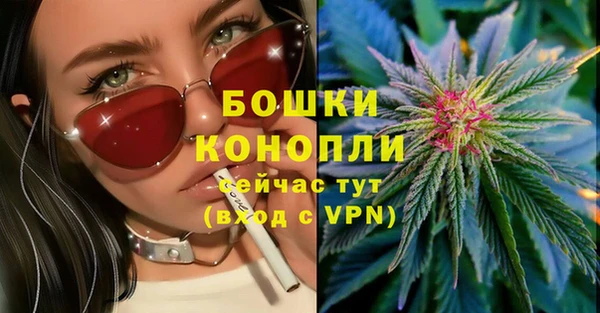 молекула духа Белоозёрский