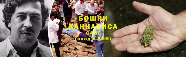 молекула духа Белоозёрский