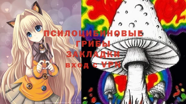 эйфоретик Белокуриха