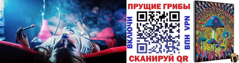 Галлюциногенные грибы Cubensis  купить закладку  Железноводск 